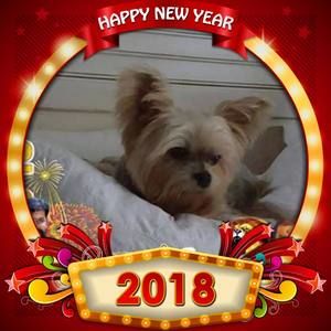 Meet your Posher, Donna